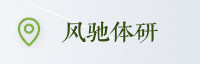 伙伴联盟